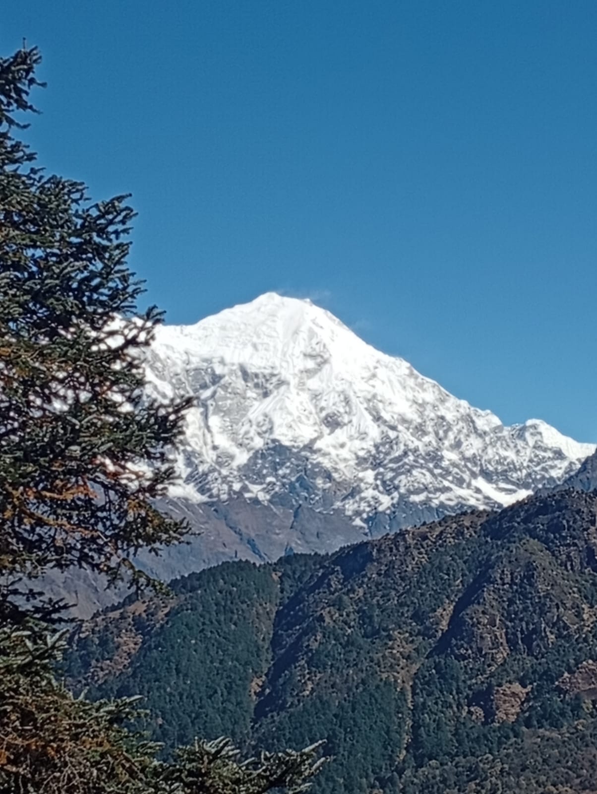 Langtang lirung View on the way to Gosaikunda