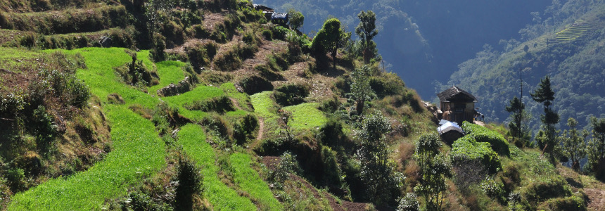 15 Reasons to Trek in Nepal