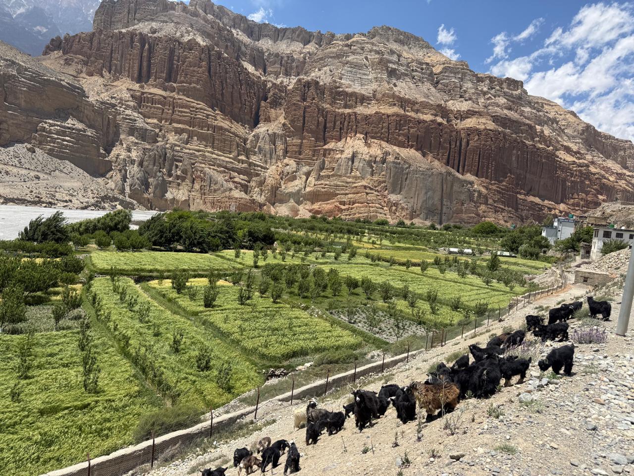 upper mustang trek dri place and gree field