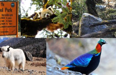 langtang National Park wildlife,