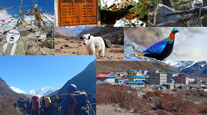 Langtang Trek vs Annapurna Trek – Detailed Comparison 2026 3 Scenic Views Langtang vs ABC Trek Himalayas 1