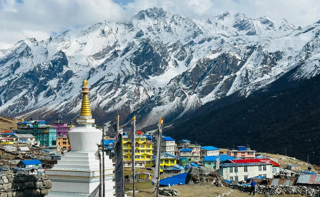 Langtang Trek vs Annapurna Trek – Detailed Comparison 2026 2 The View from Kyanjin gumba Langtang valley trek Langtang vs Annapurna Trek