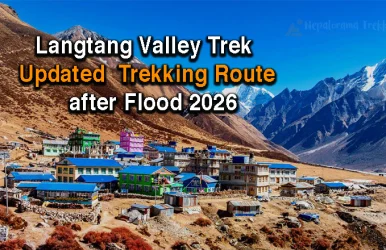 Langtang valley trek after flood 2026, Langtang valley trek updated trekking route after flash flood 2026, Langtang valley trek alternative route 2026-2027 langtang valley trek is safe now.