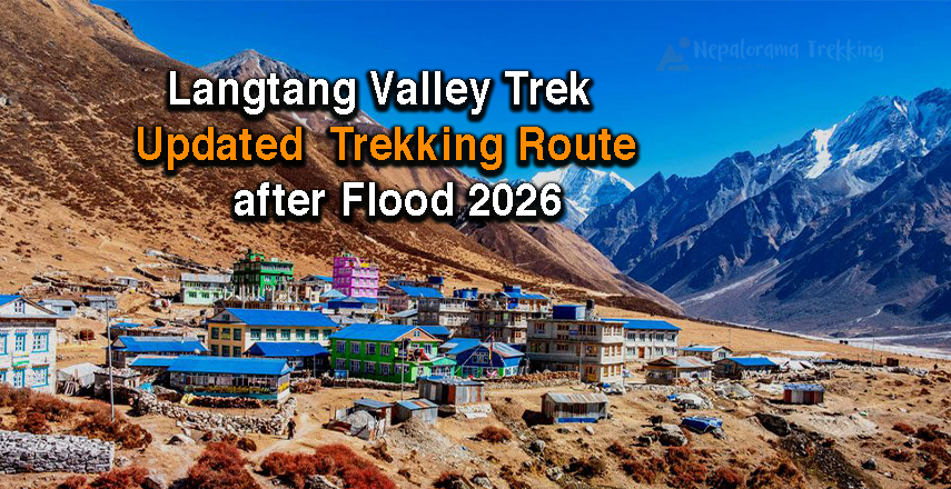 Langtang Valley Trek Is Open: Updated Itinerary After the 2026 Flash Flood